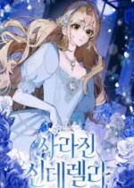 Cinderella Disappeared